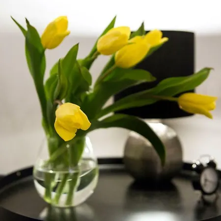 Apartment Stary Go